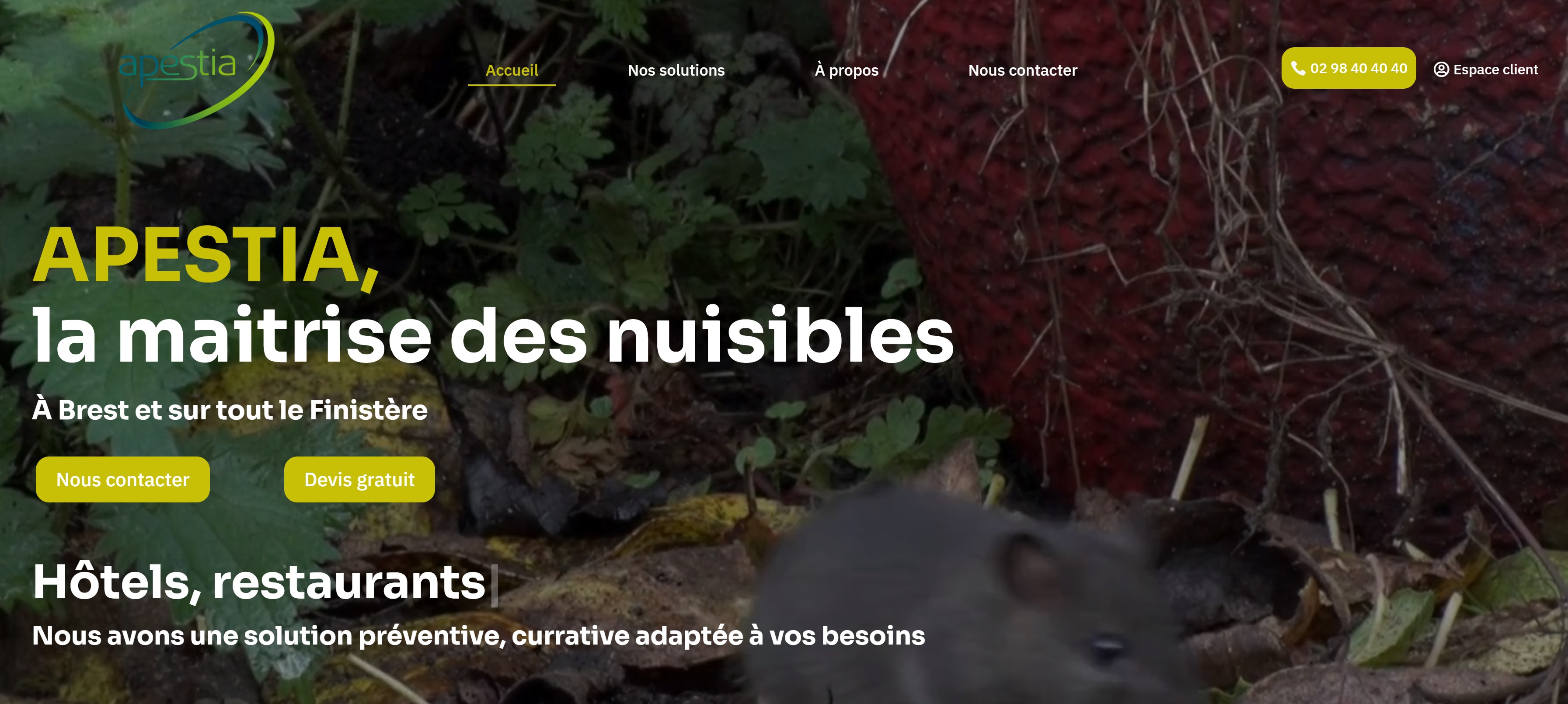 Image de présentation Apestia