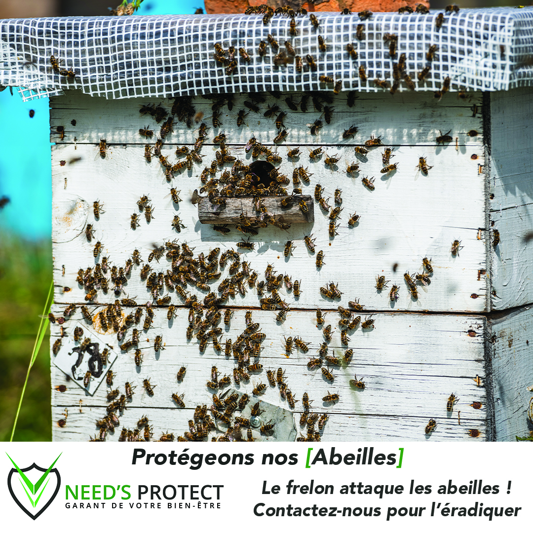 Galerie Need's Protect — visuel 4