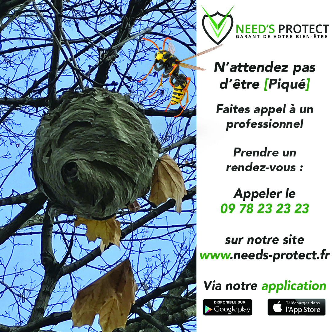 Galerie Need's Protect — visuel 5