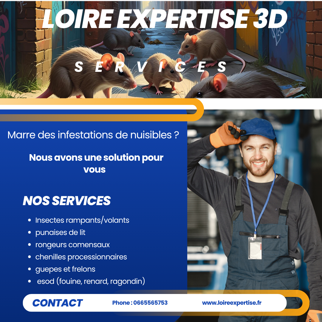Galerie Loire Expertise 3D — visuel 5
