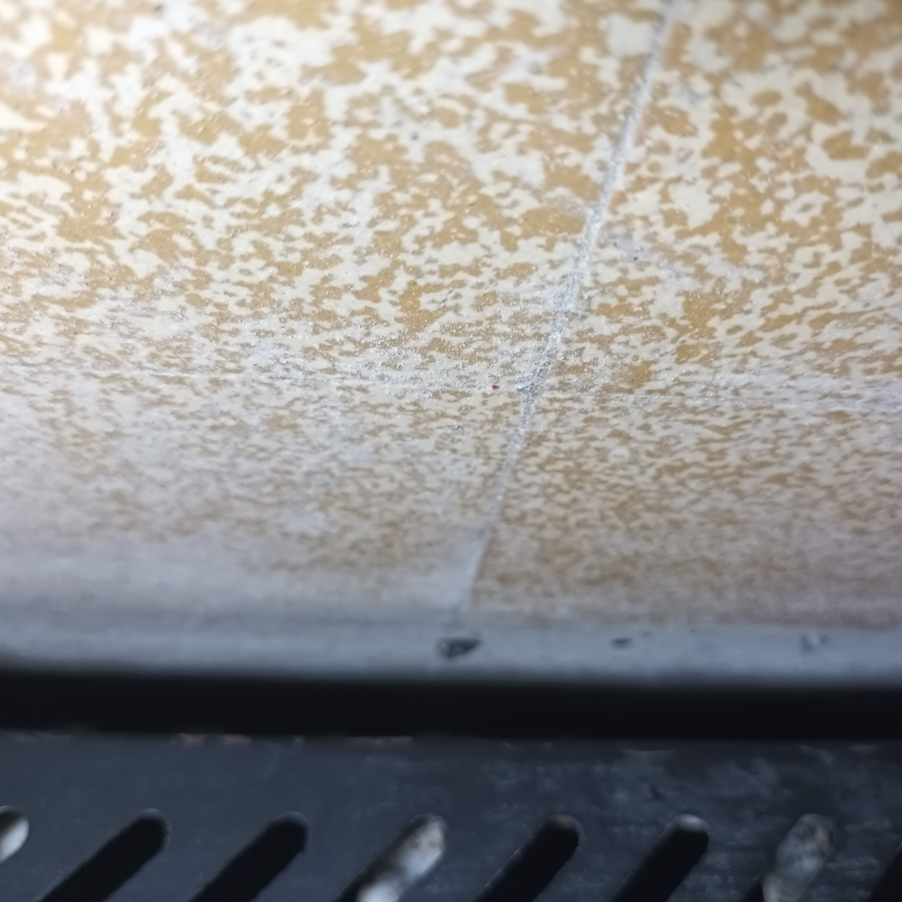 Galerie 3D nuisible pest control — visuel 5