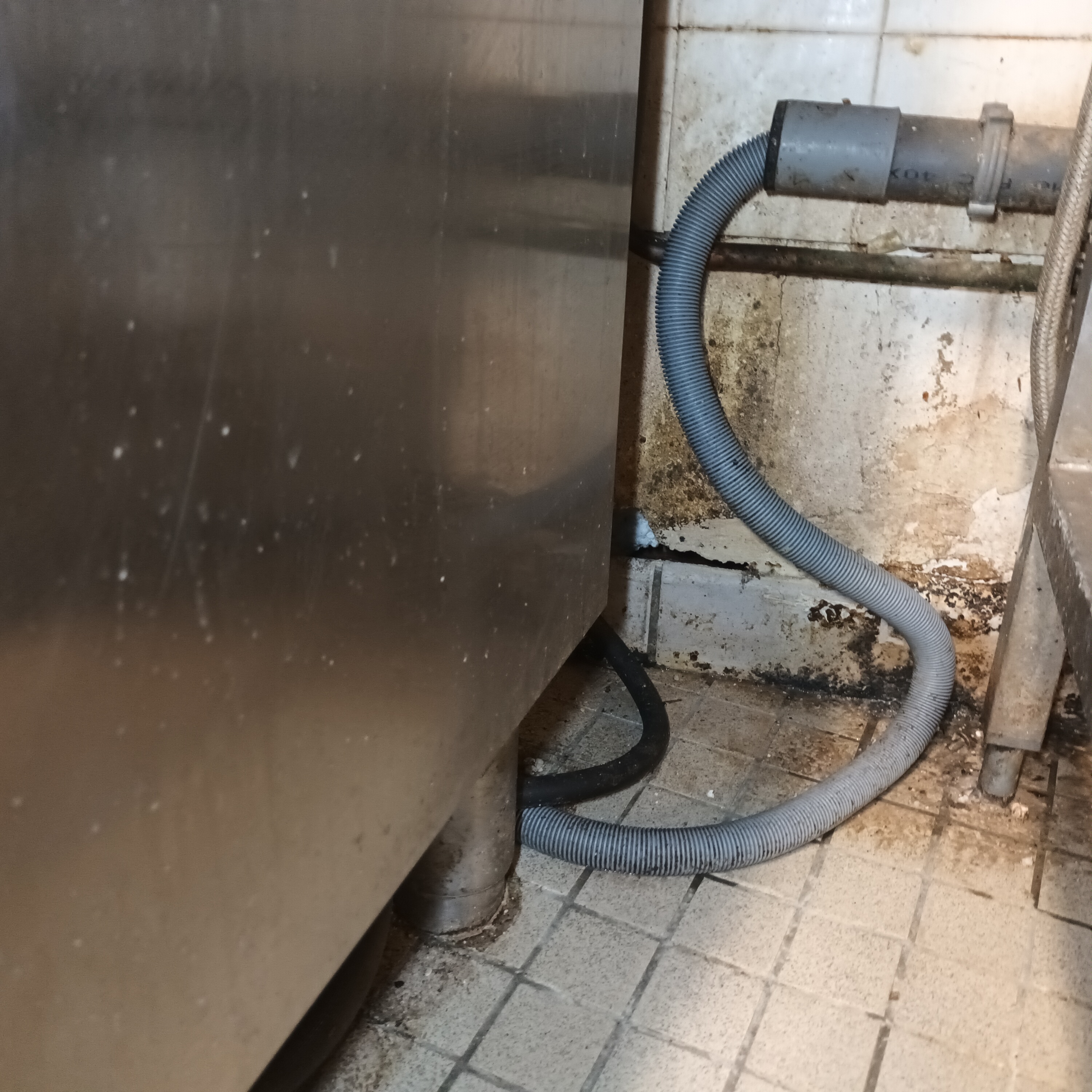 Galerie 3D nuisible pest control — visuel 6