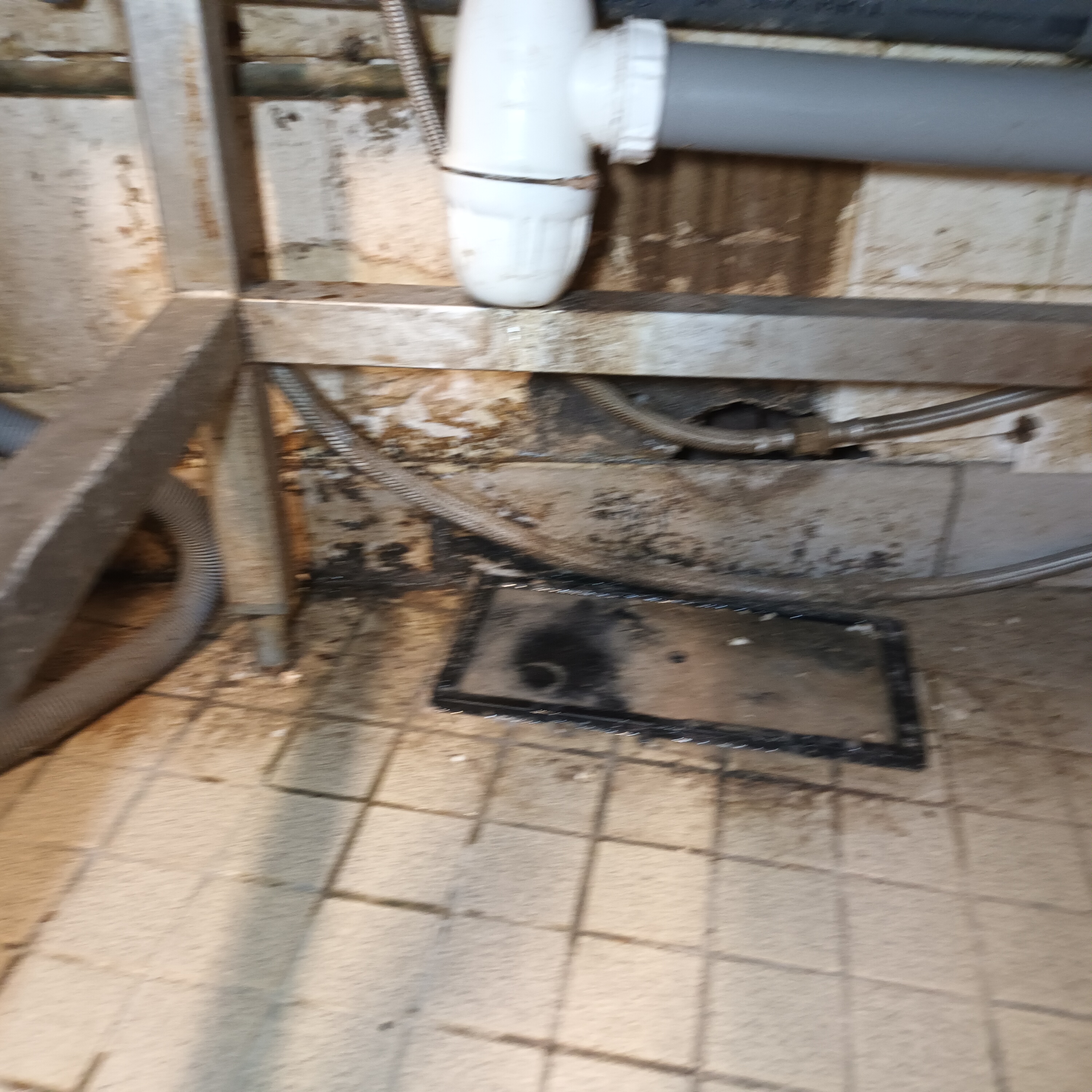 Galerie 3D nuisible pest control — visuel 7