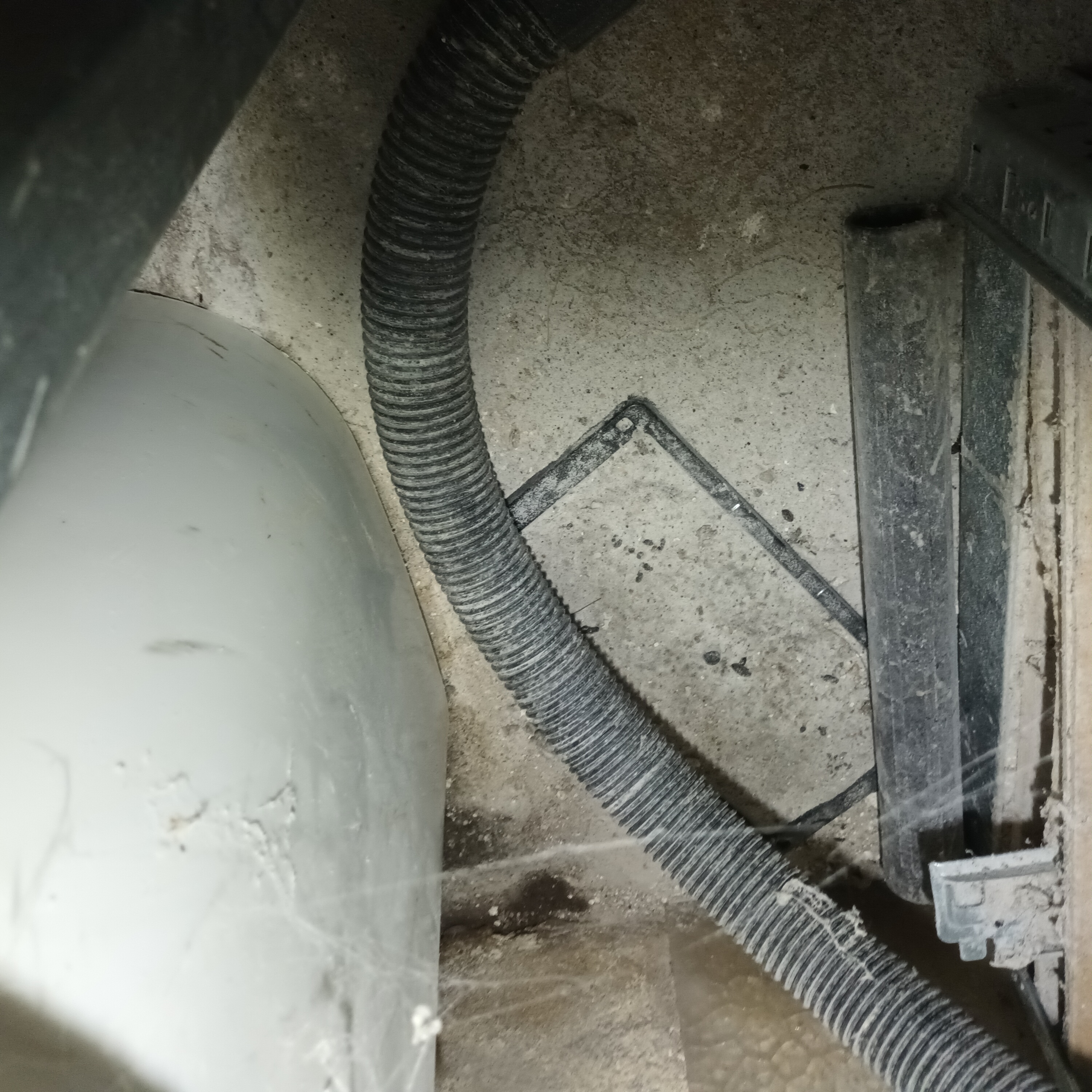 Galerie 3D nuisible pest control — visuel 8