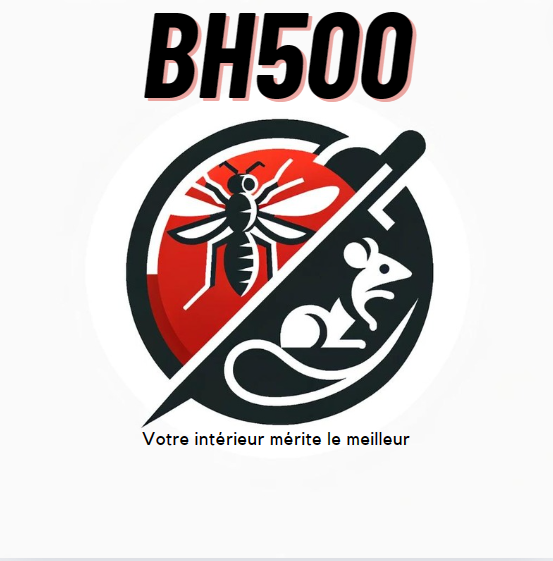 Image de présentation Bh500