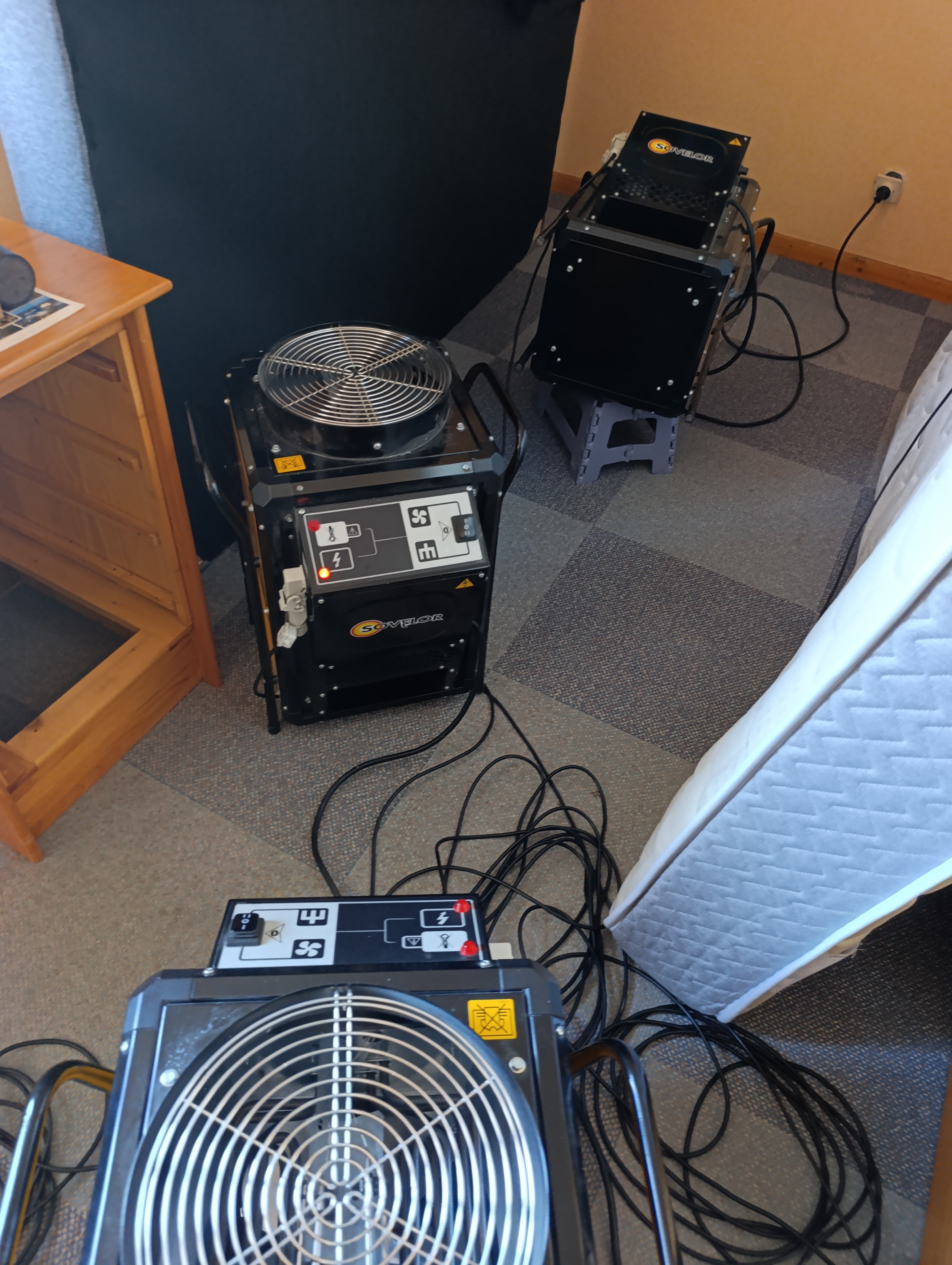 Galerie Colmar Nuisibles — visuel 4