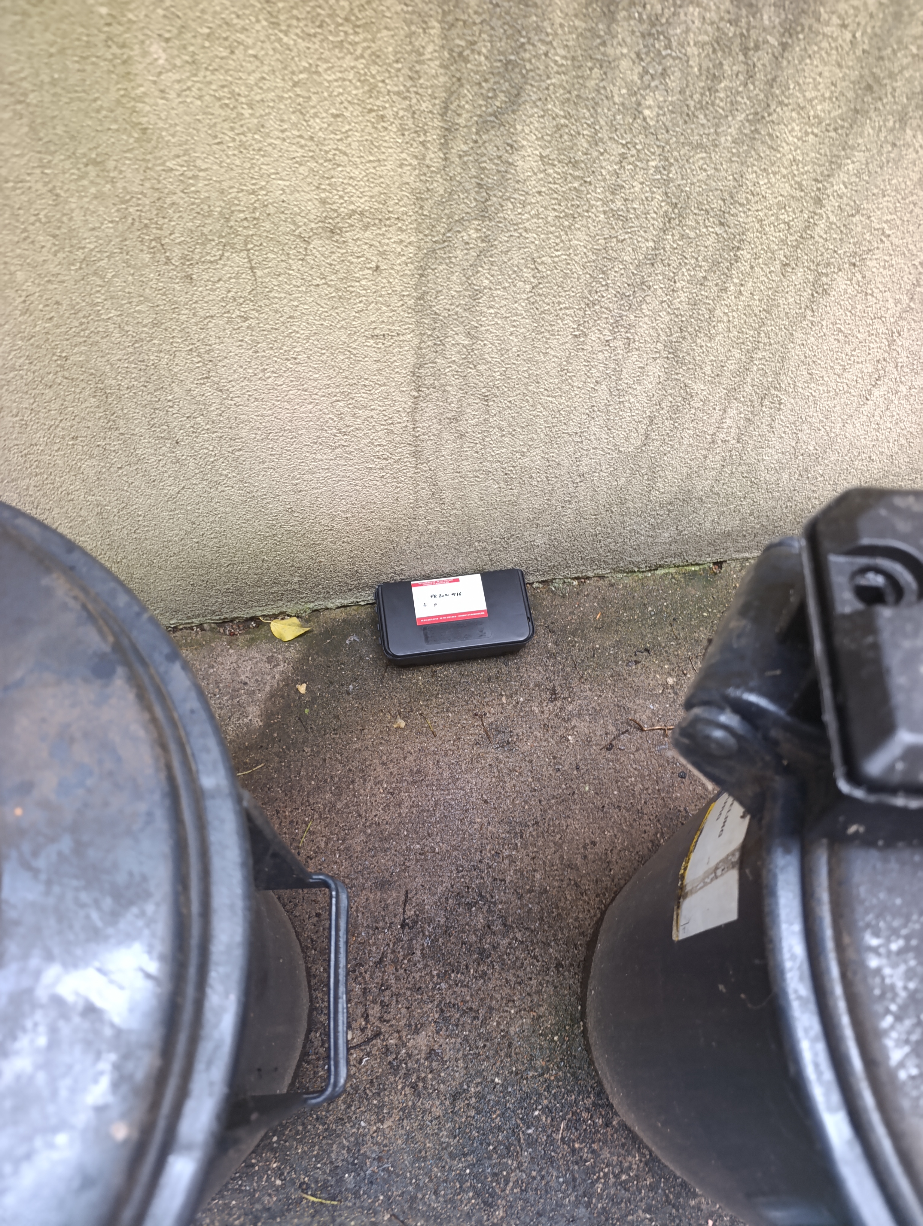 Galerie Colmar Nuisibles — visuel 5