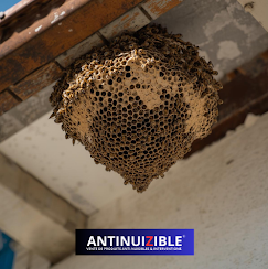 Galerie Antinuizible — visuel 6
