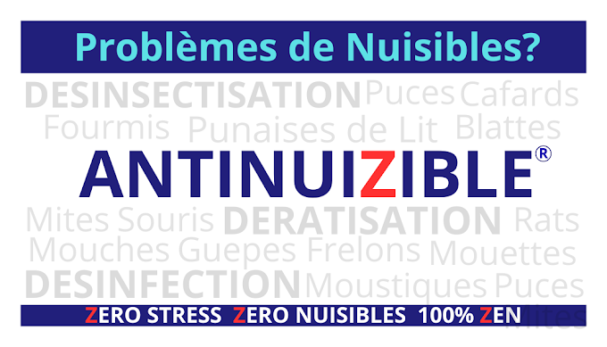 Galerie Antinuizible — visuel 7
