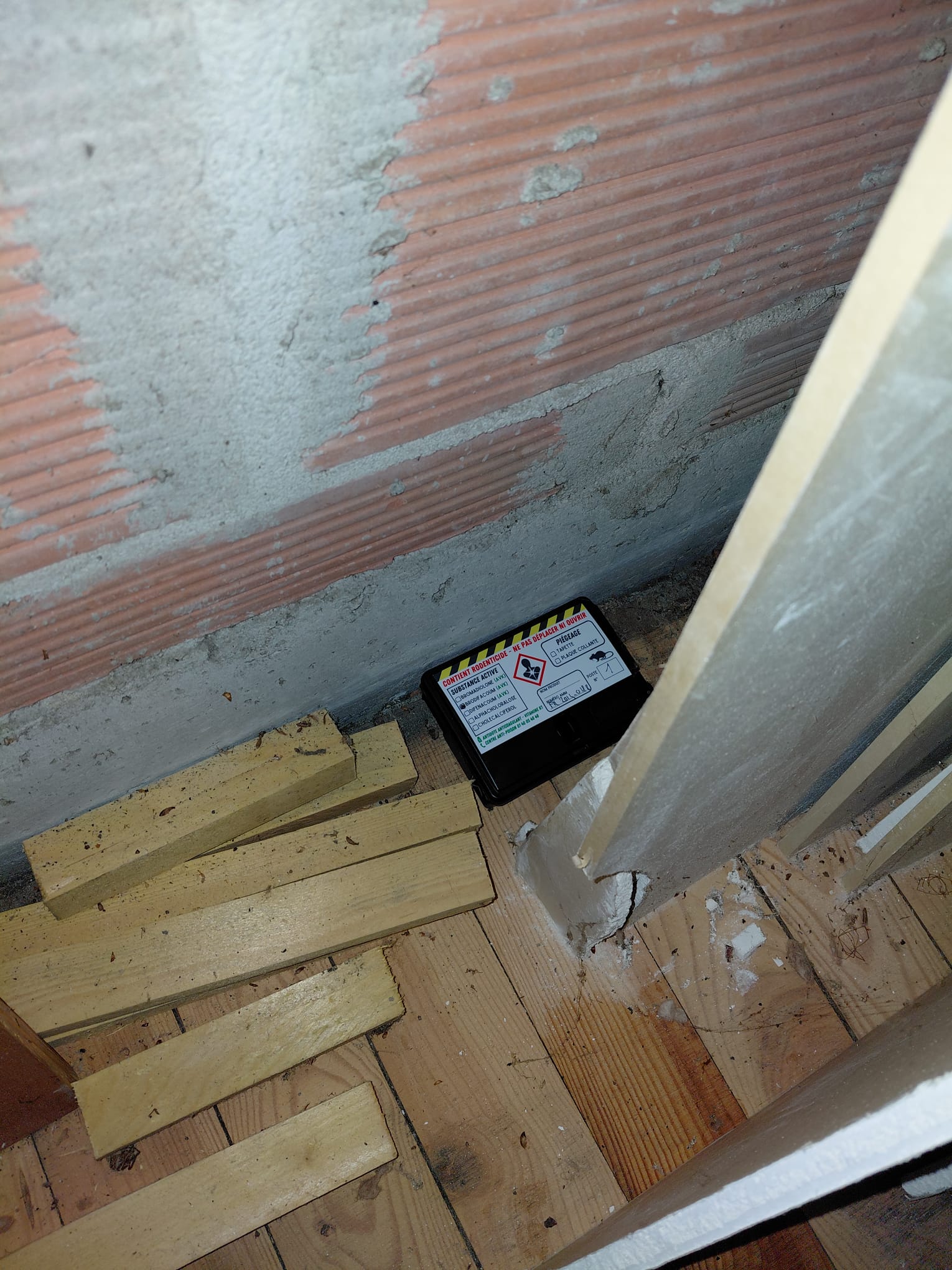 Galerie Stop Frelons Nuisibles — visuel 5
