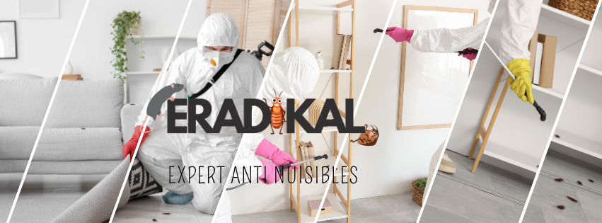 Image de présentation Eradikal