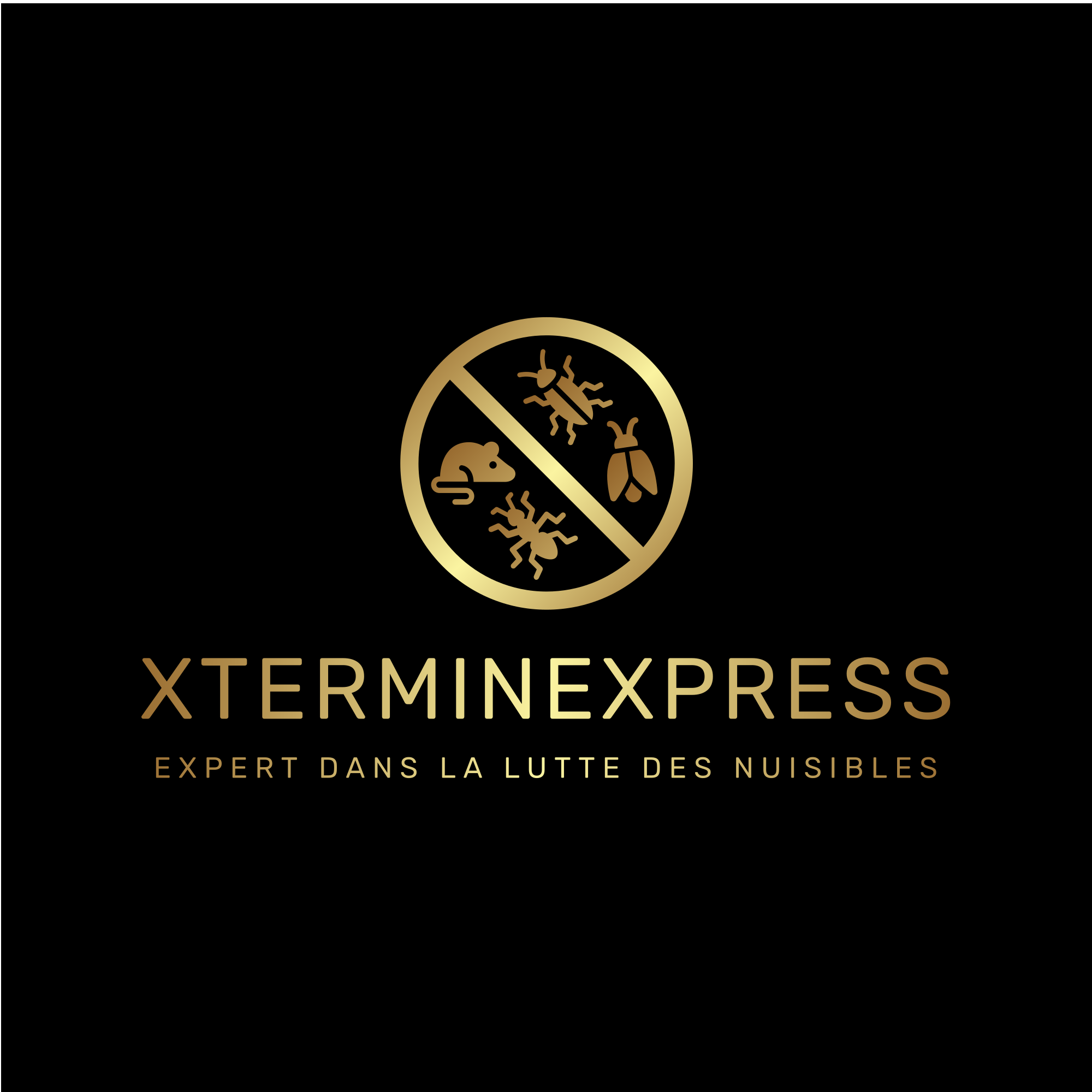 Logo Xterminexpress