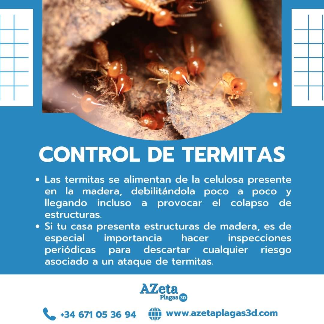 Galerie AZeta Plagas 3D — visuel 4