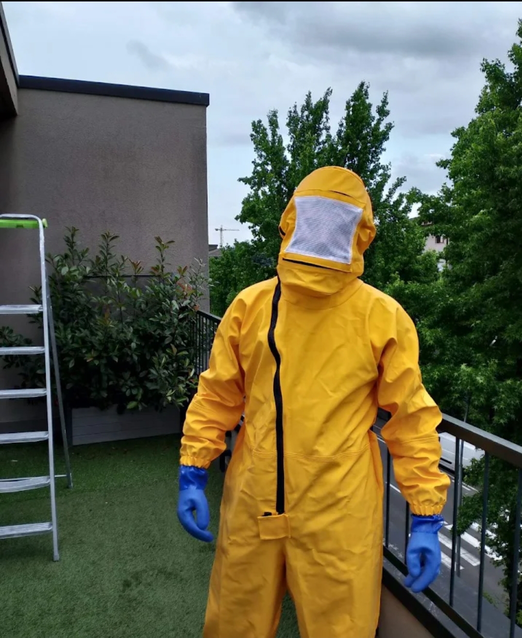Immagine di presentazione AM Disinfestazioni - Disinfestazione Deblattizzazione Derattizzazione e Sanificazione Torino e Provincia