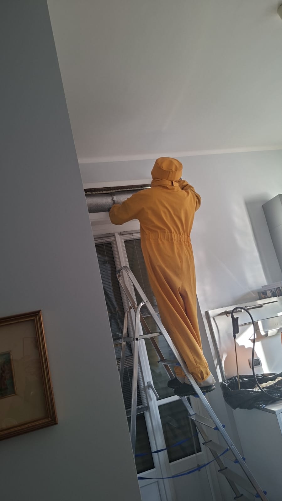 Galerie AM Disinfestazioni - Disinfestazione Deblattizzazione Derattizzazione e Sanificazione Torino e Provincia — visuel 8