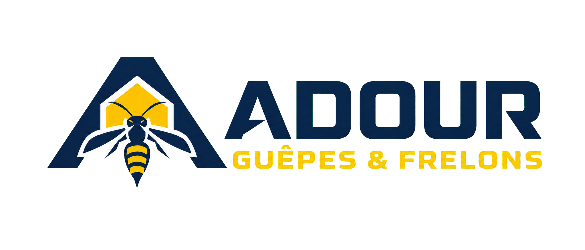 Image de présentation Adour Guêpes & Frelons