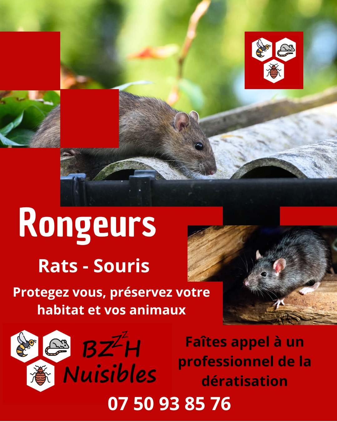Galerie BZzzH NUISIBLES — visuel 4