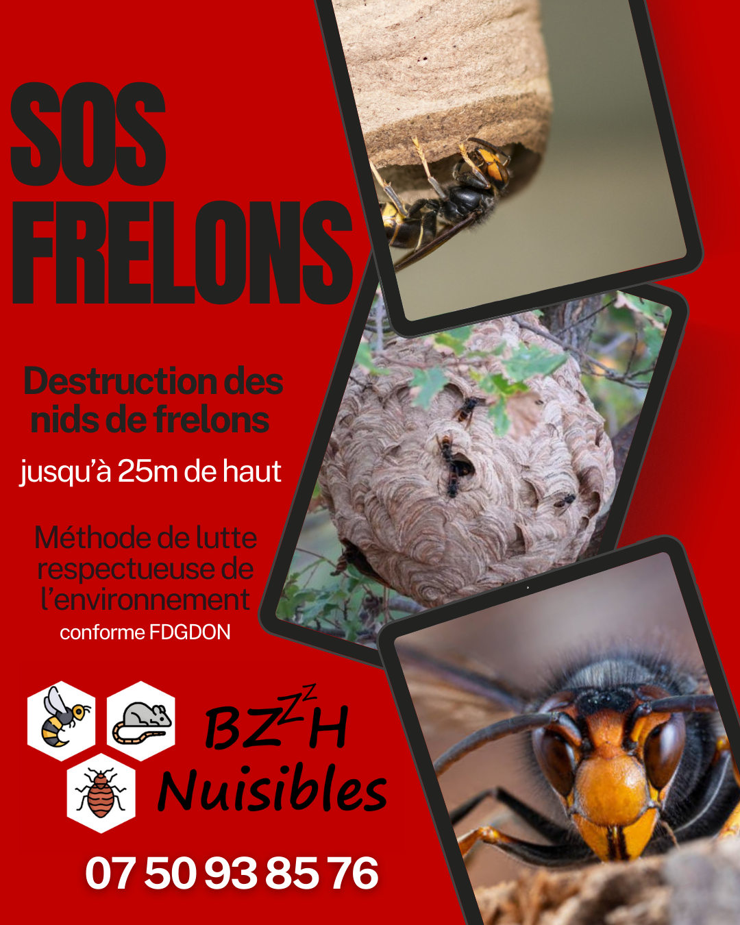 Galerie BZzzH NUISIBLES — visuel 5